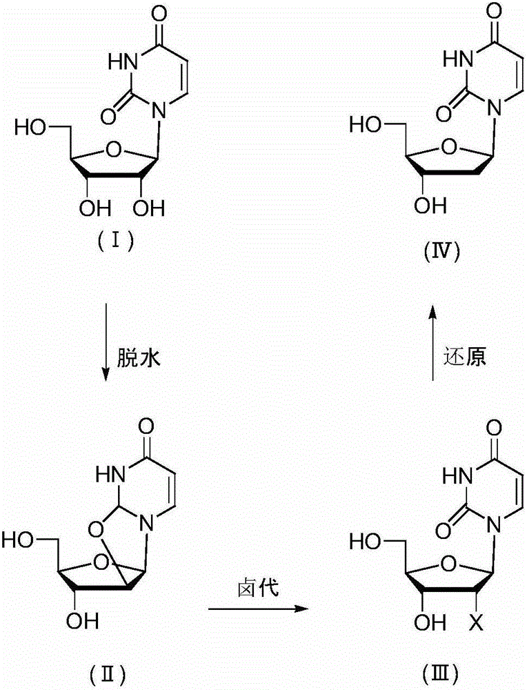 Method for preparing 2'-deoxyuridine