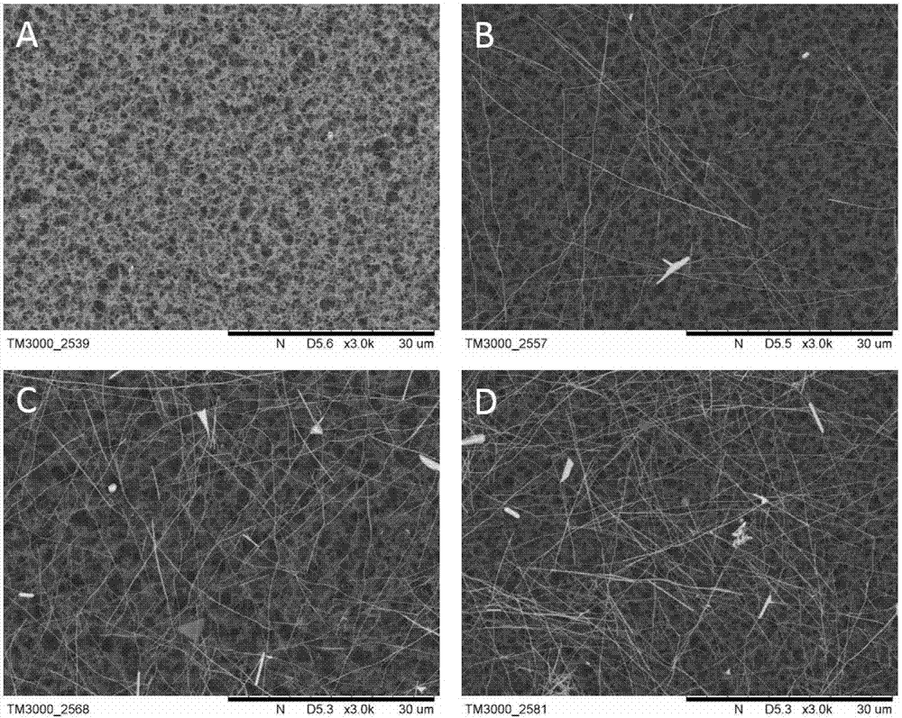 Preparation method of nano silver wire-chitosan self-assembly conductive film coating