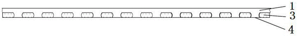 Packaging member for reducing width of lead wire by using grinding technology and manufacture process thereof