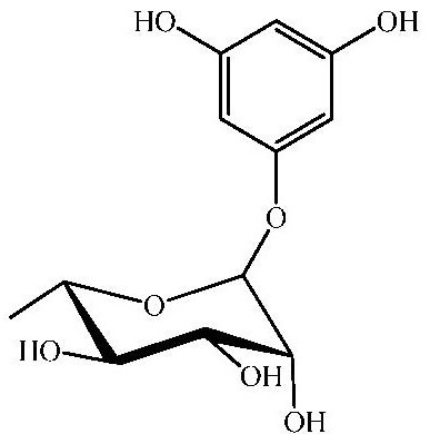 A kind of patoside e and its preparation method and application