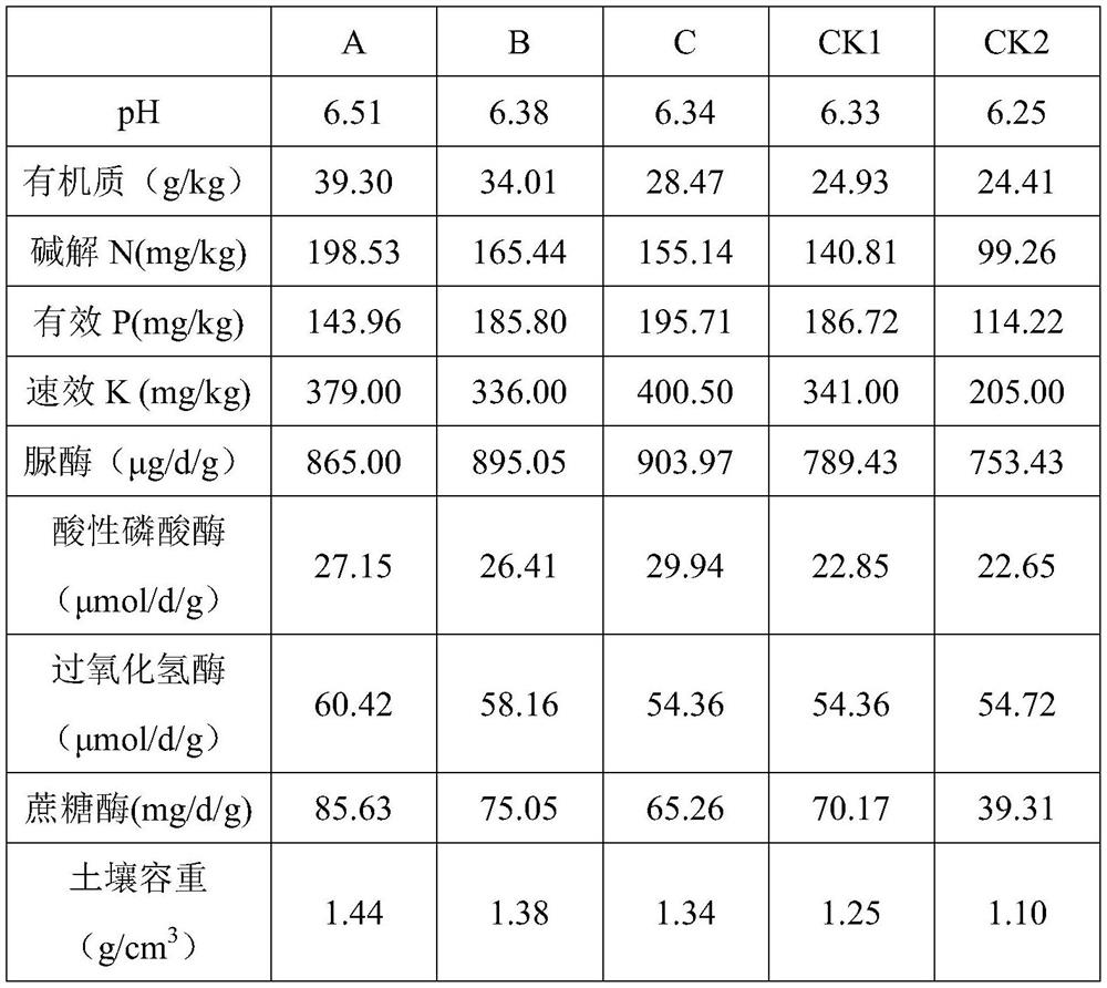 Tree root fermented fertilizer for improving soil quality and preparation method thereof