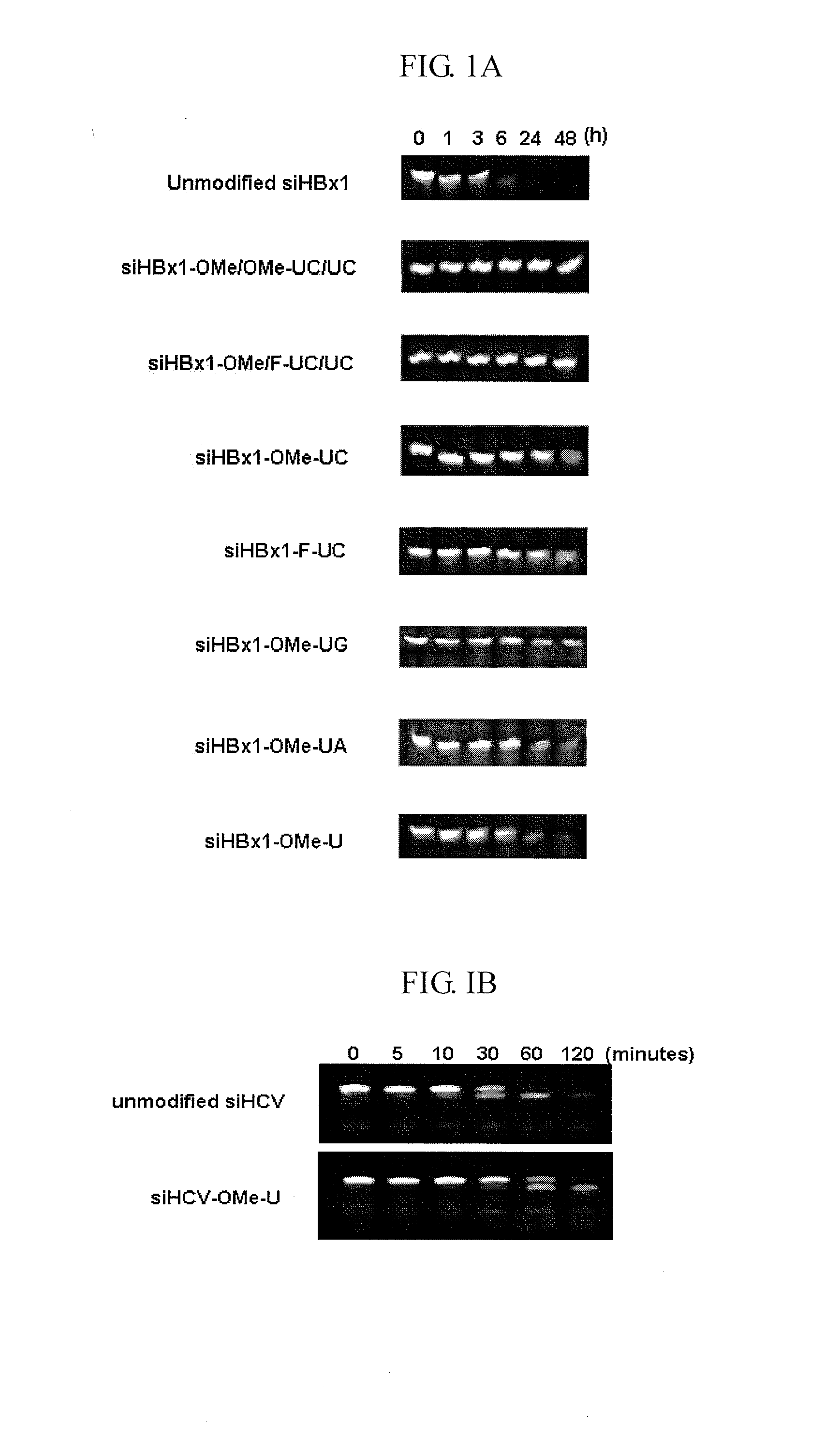 Method for enhancing serum stability and lowering immune response of sirna down-regulating gene expression of hbv or hcv