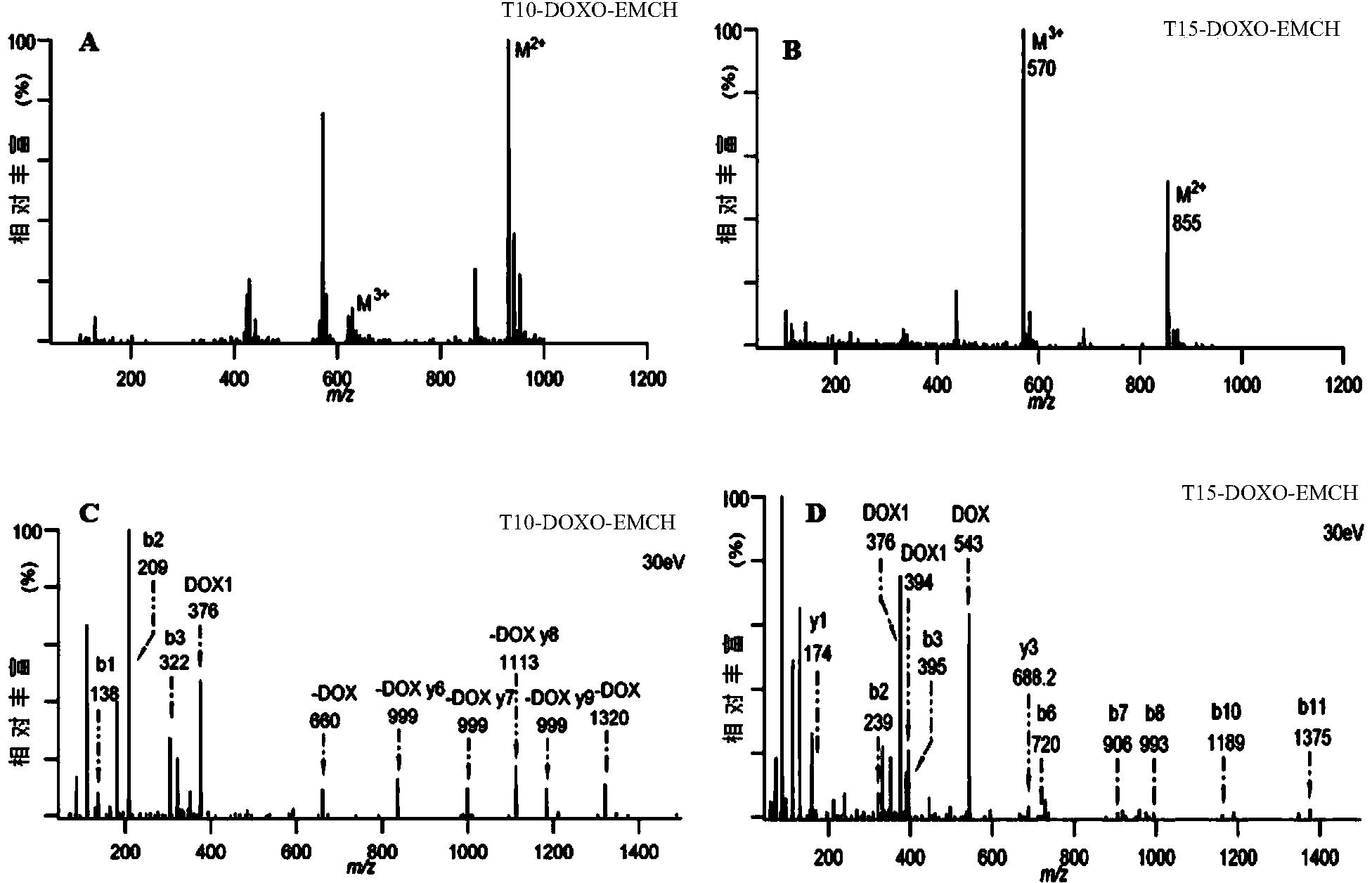 Tumor targeted polypeptide-adriamycin amycin derivative as well as preparation method and application thereof