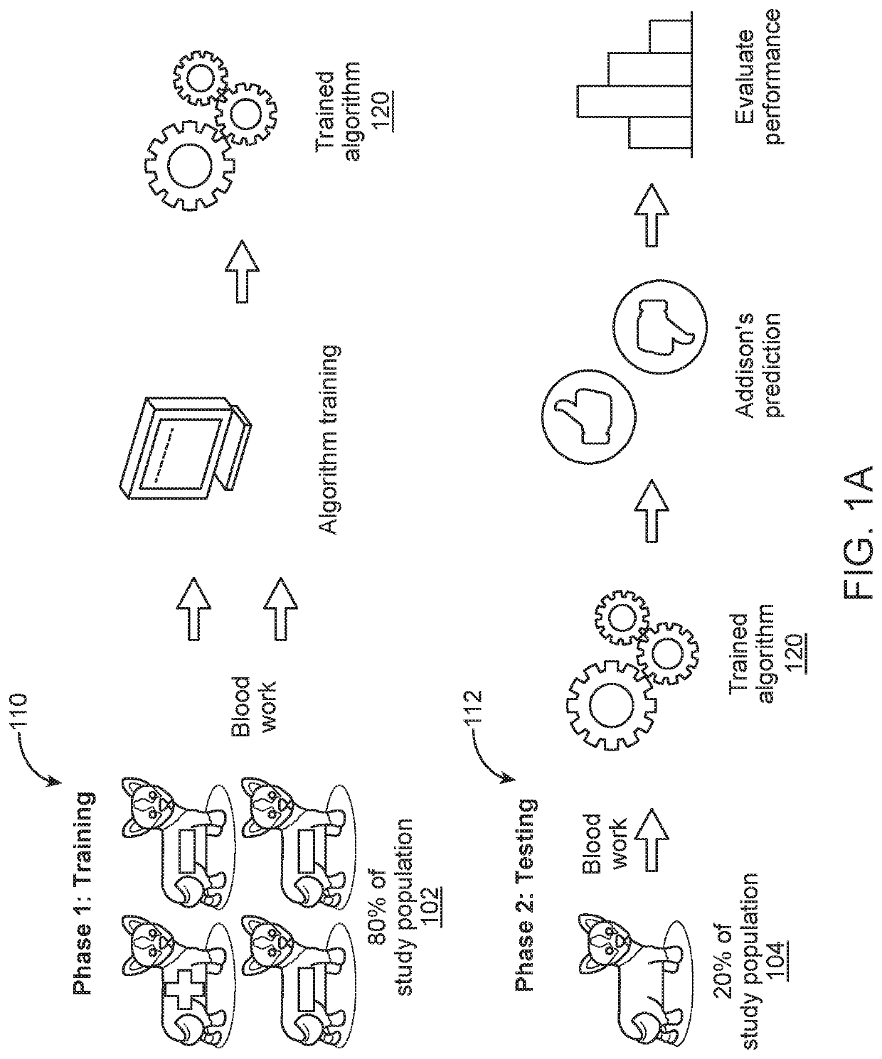 Diagnosing hypoadrenocorticism from hematologic and serum chemistry parameters using machine learning algorithm