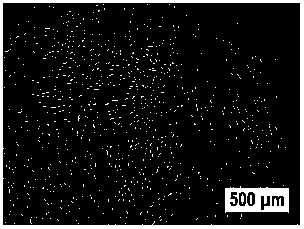 Umbilical cord Wharton's jelly mesenchymal stem cell osteogenic directional differentiation method