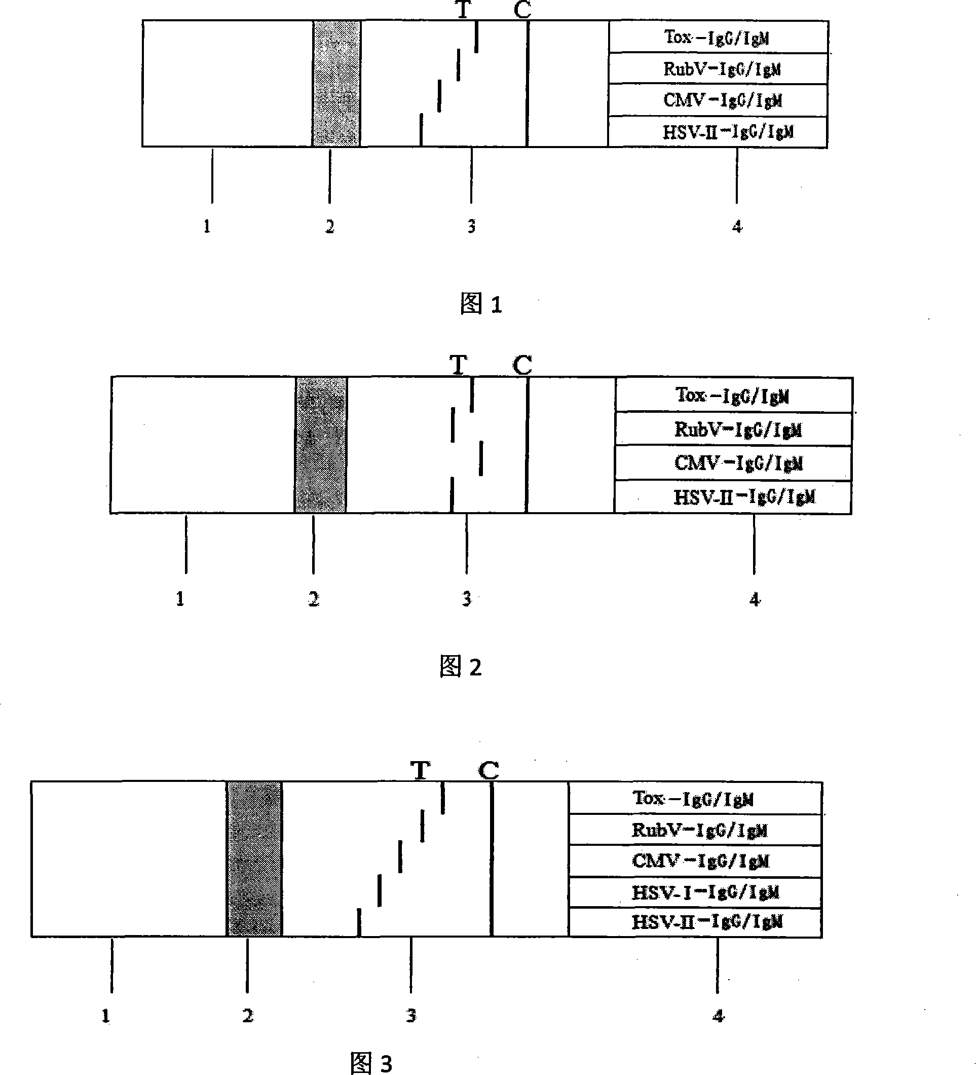 Immune chromatography test paper and preparation method capable of meanwhile detecting ToRCH infection