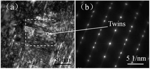 Ultra-high-strength medium-manganese automotive steel plate with excellent plasticity and preparation method thereof