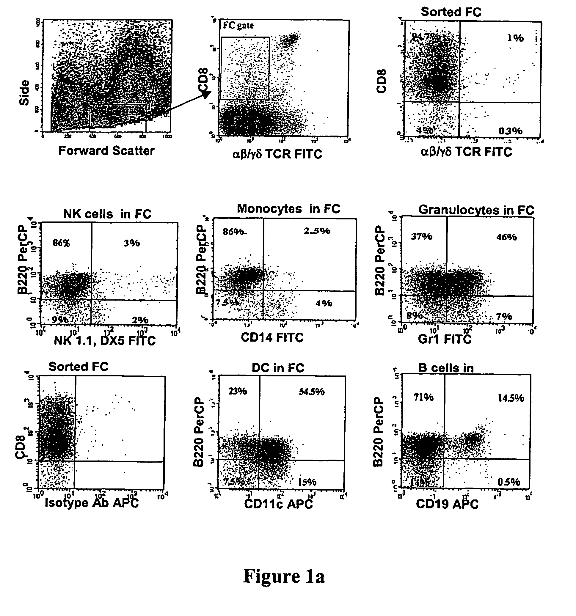 Methods for enhancing engraftment of purified hematopoietic stem cells in allogenic recipients