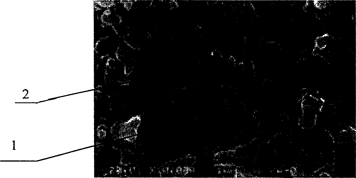 Biological active nano titanium oxide ceramic for hard tissue repairing and its preparing method