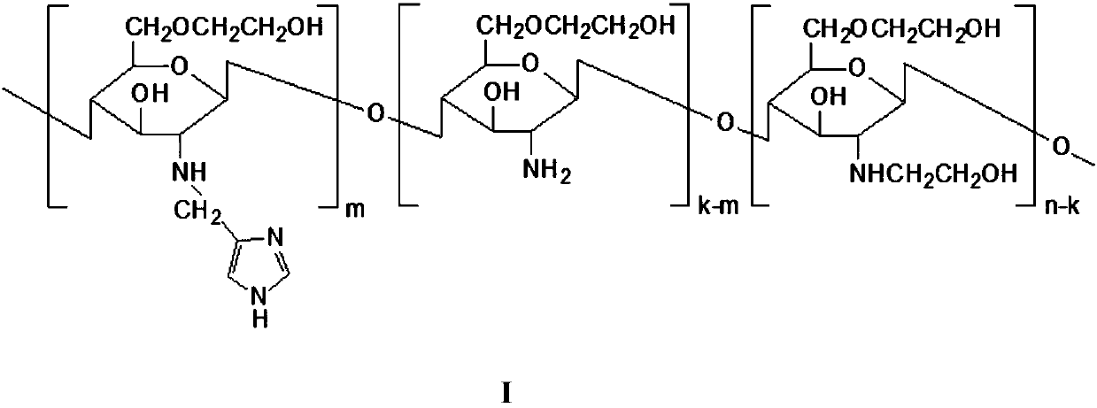 A chitosan derivative with endosome escape function and its preparation method and application