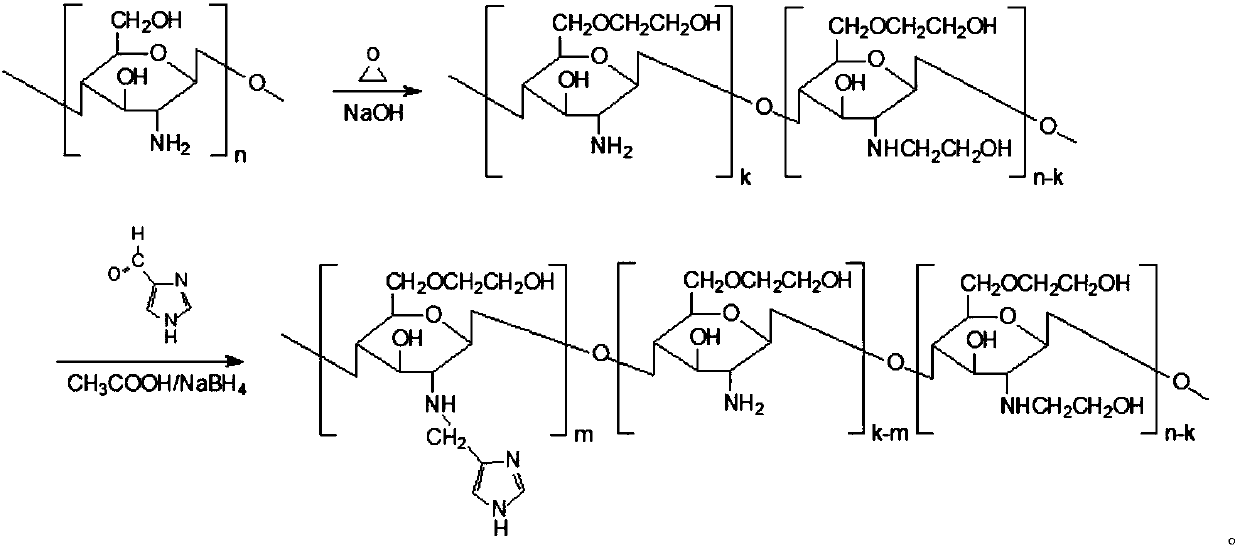 A chitosan derivative with endosome escape function and its preparation method and application