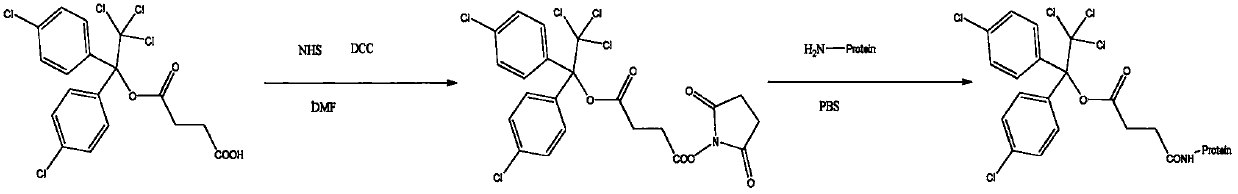 Preparation method and application of dicofol hapten