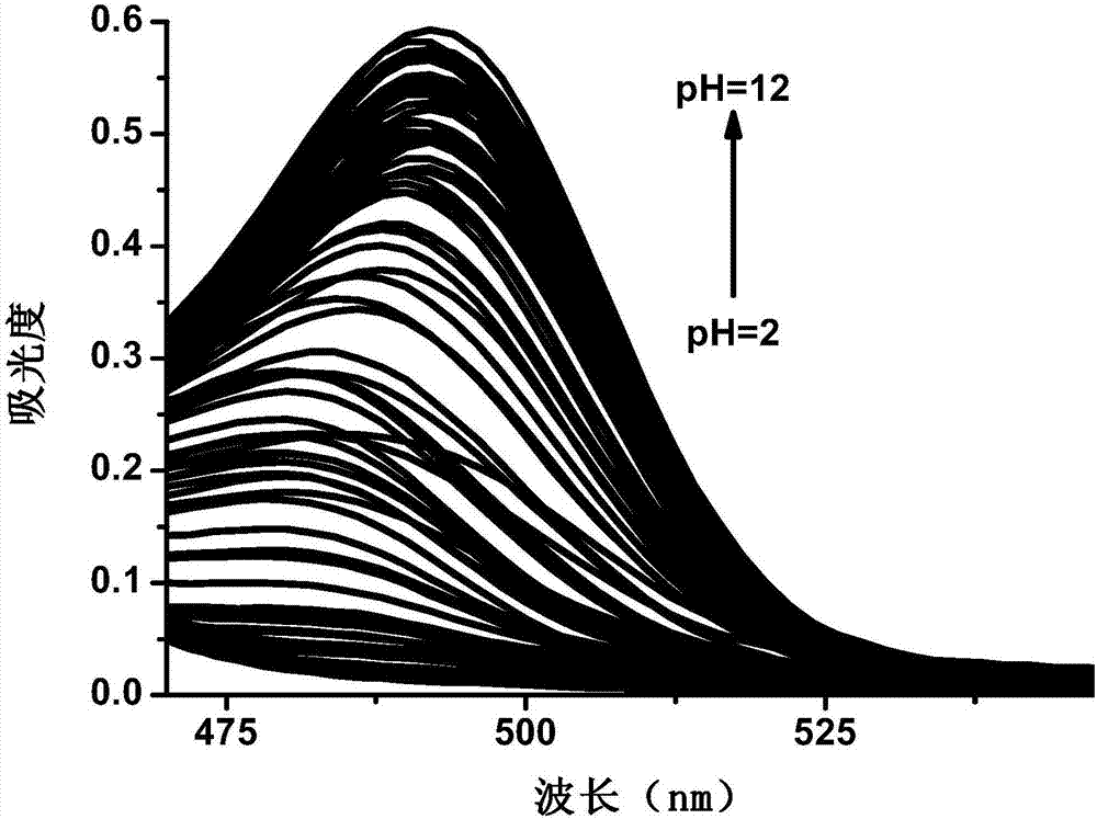 Phenanthroimidazole-fluorescein pH fluorescent probe containing two hydroxyl groups and preparation method of phenanthroimidazole-fluorescein pH fluorescent probe
