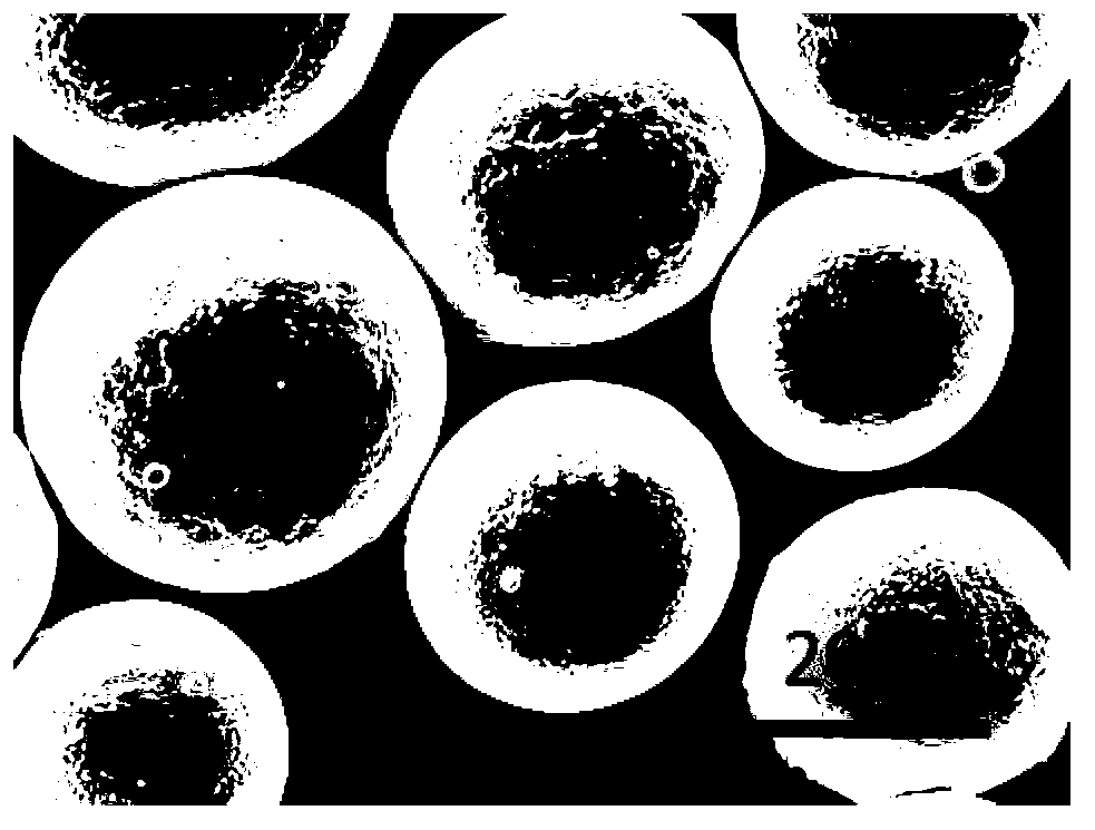 Method for preparing high fatigue property porous Ti-6Al-4V bulk material