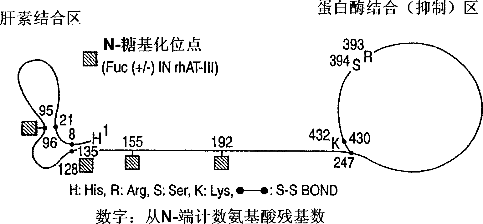 Method of producing antithrombin iii composition