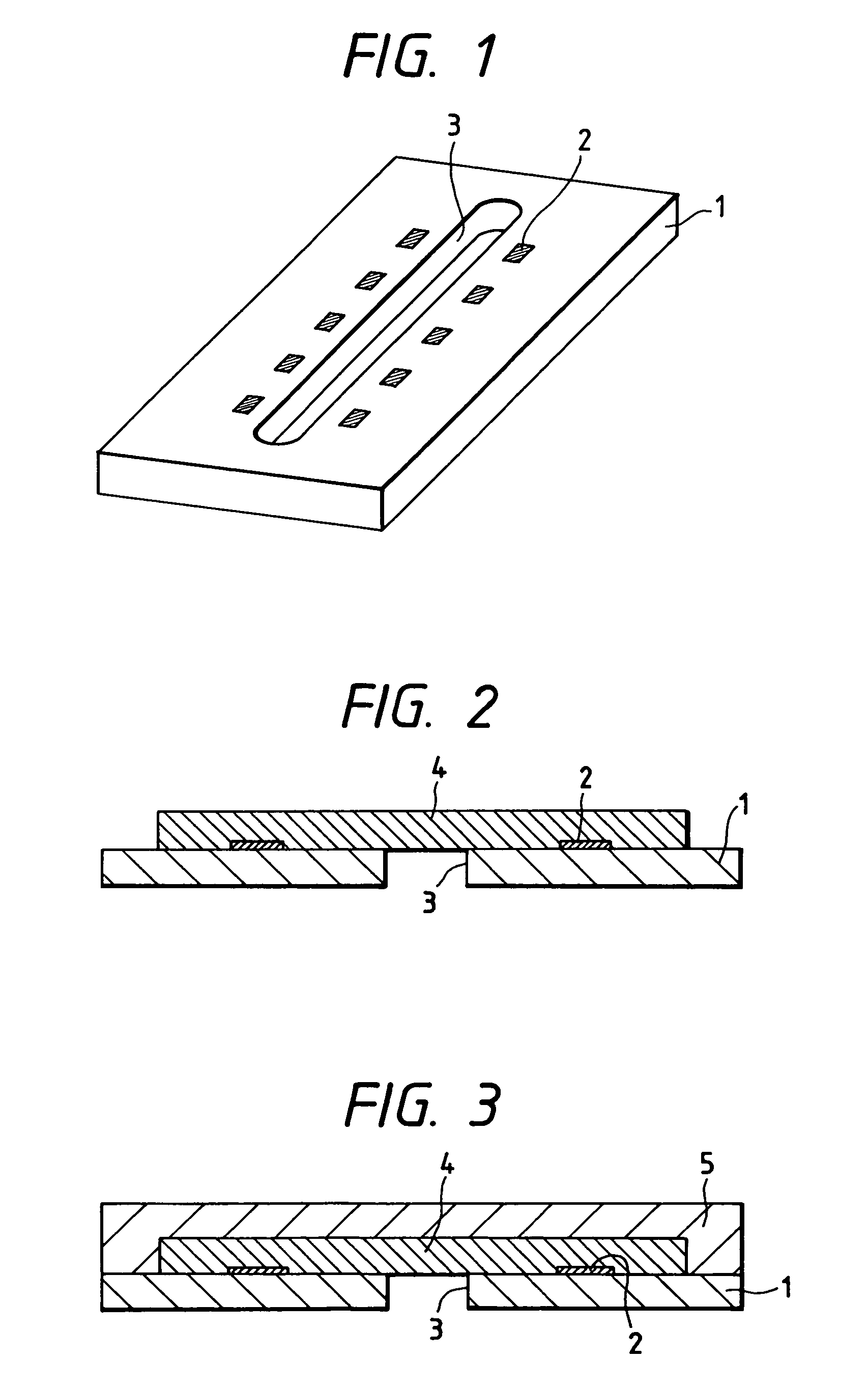 Liquid jet recording head and process for production thereof