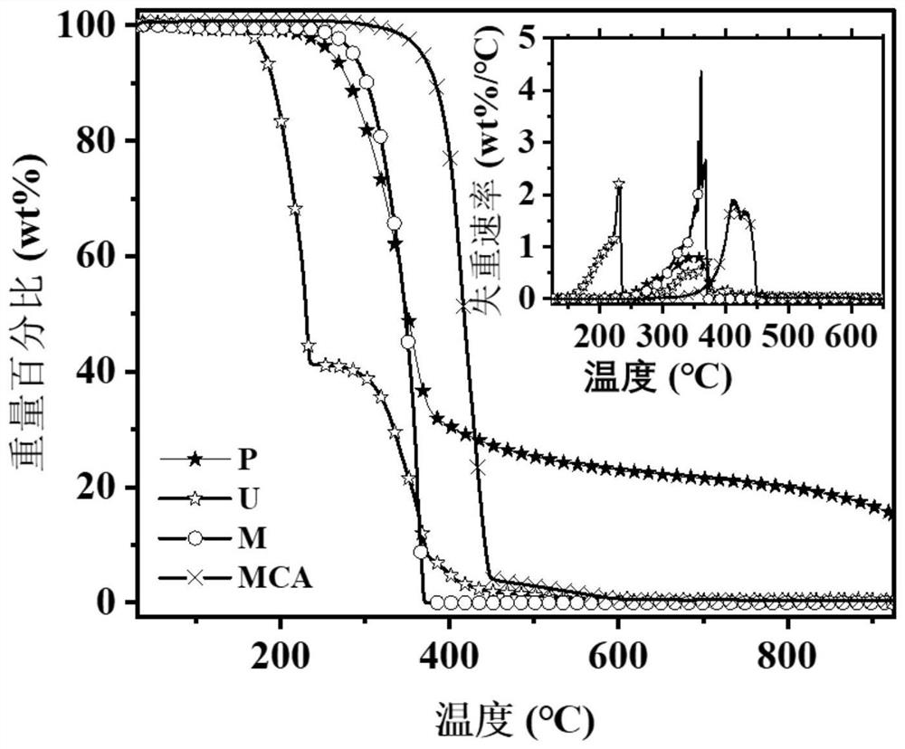 Nitrogen-rich biomass-based activated carbon with hierarchical pore microchannel structure and application thereof