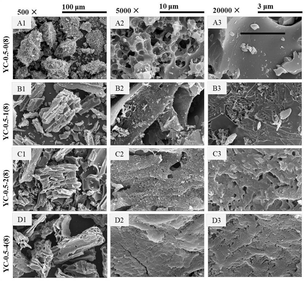 Nitrogen-rich biomass-based activated carbon with hierarchical pore microchannel structure and application thereof