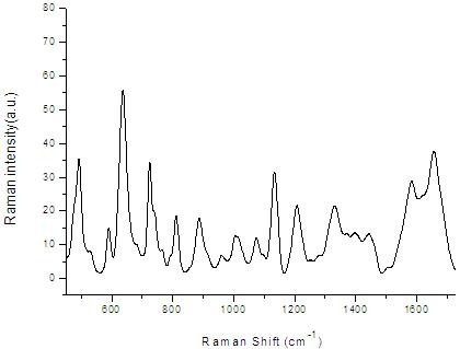 Detection method of human plasma surface enhanced raman spectroscopy by integrating main component analysis