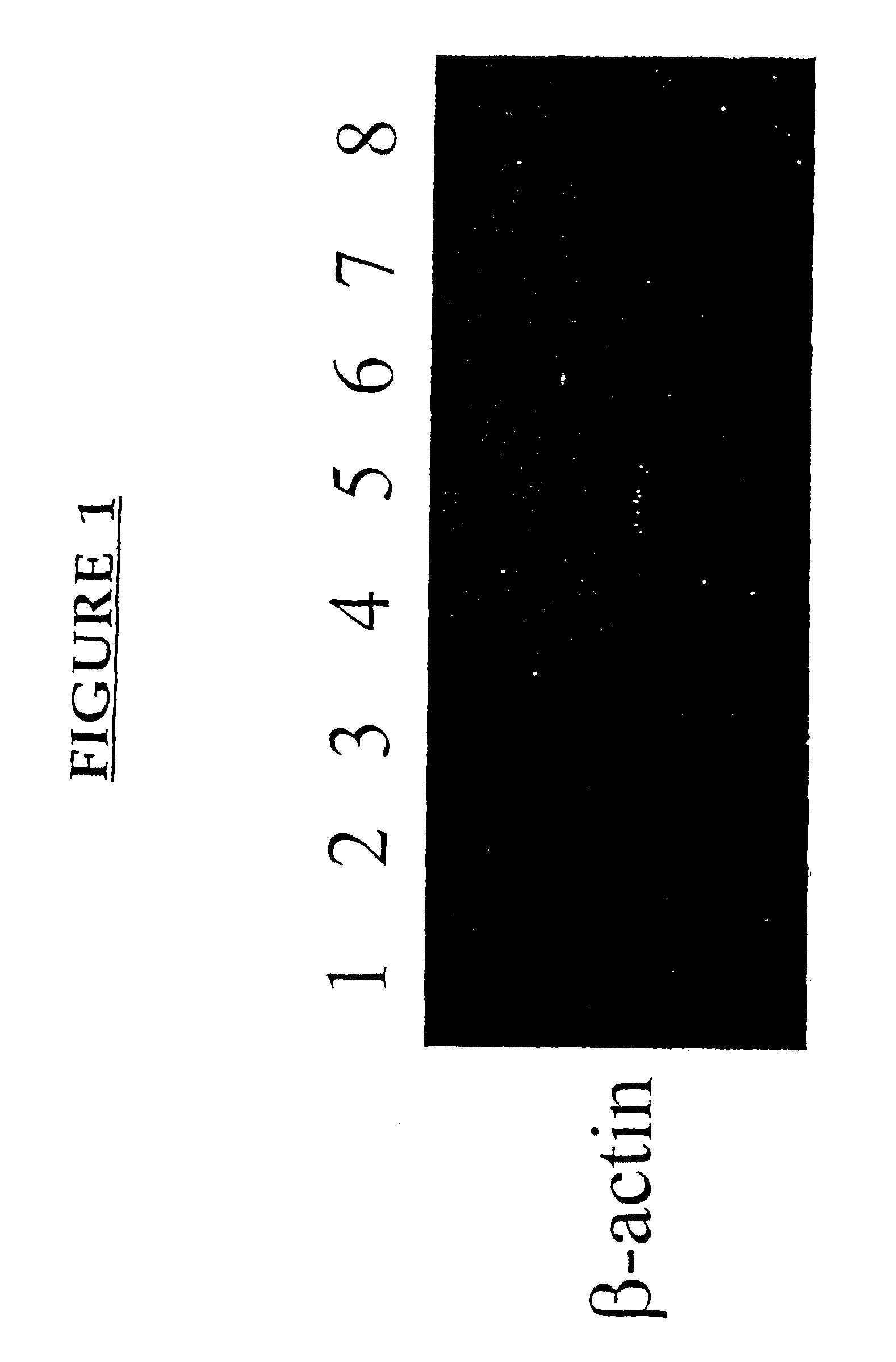 Methods and compositions for modulating immunity
