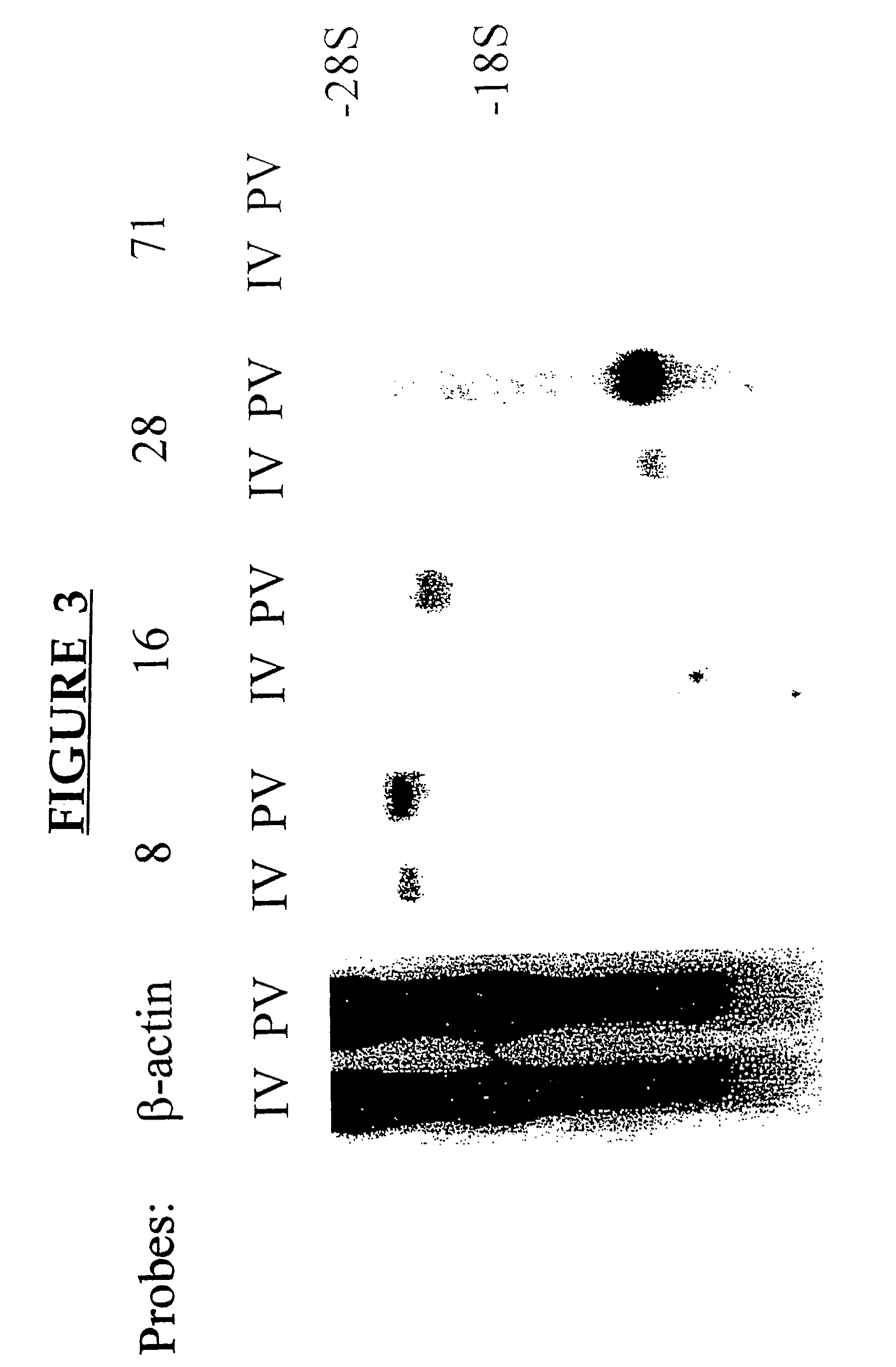 Methods and compositions for modulating immunity