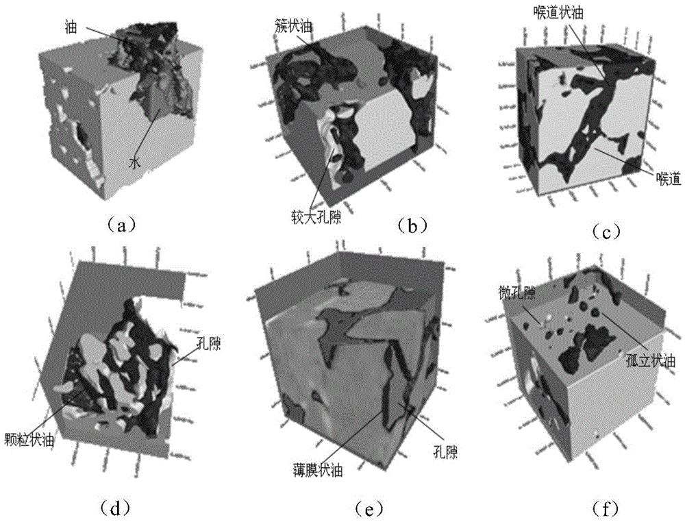 Method for testing tight oil occurrence state of reservoir stratum through CT quantitative and three-dimensional visualization