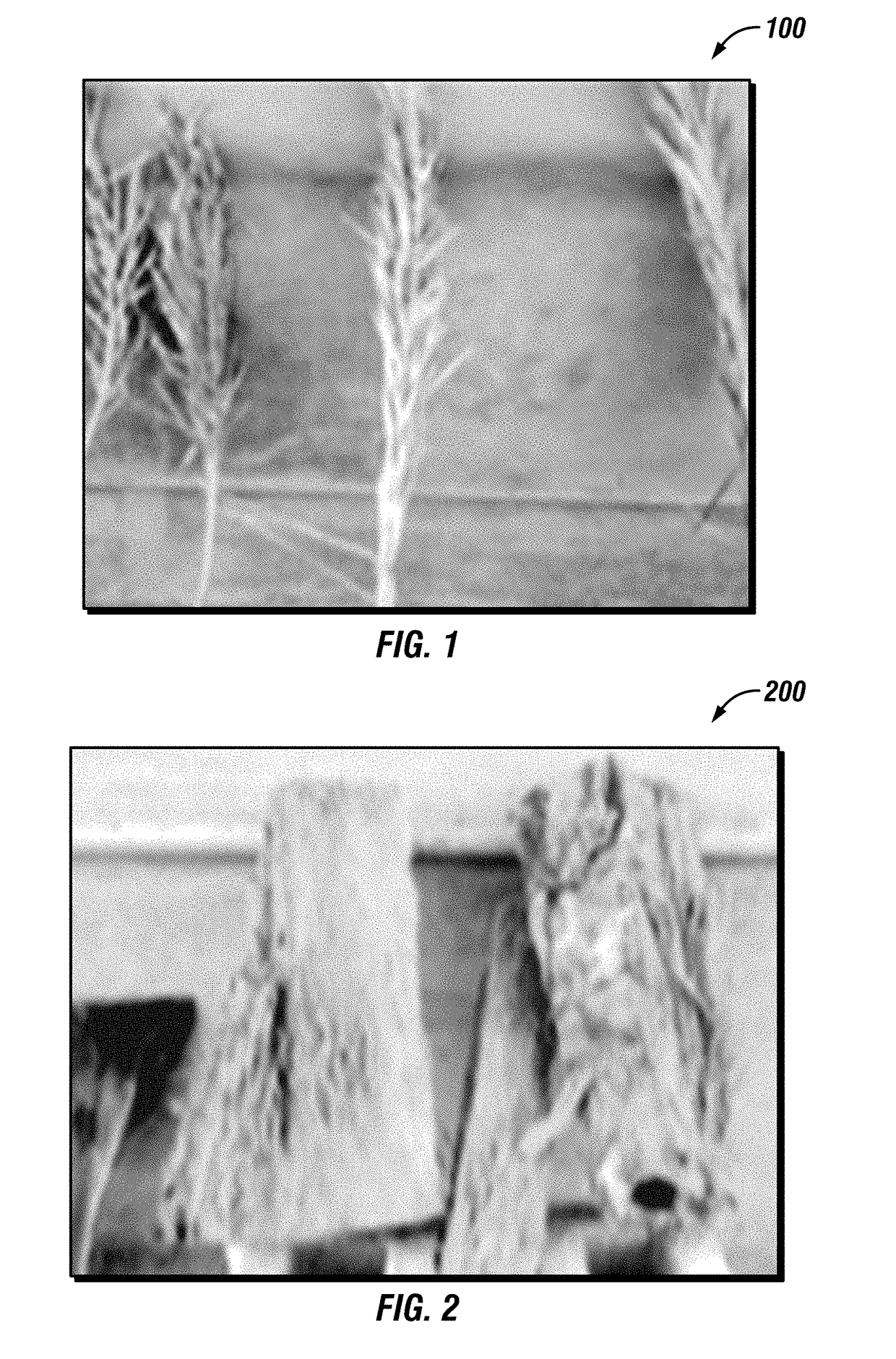 Date Tree Waste-Based Binary Fibrous Mix for Moderate to Severe Loss Control