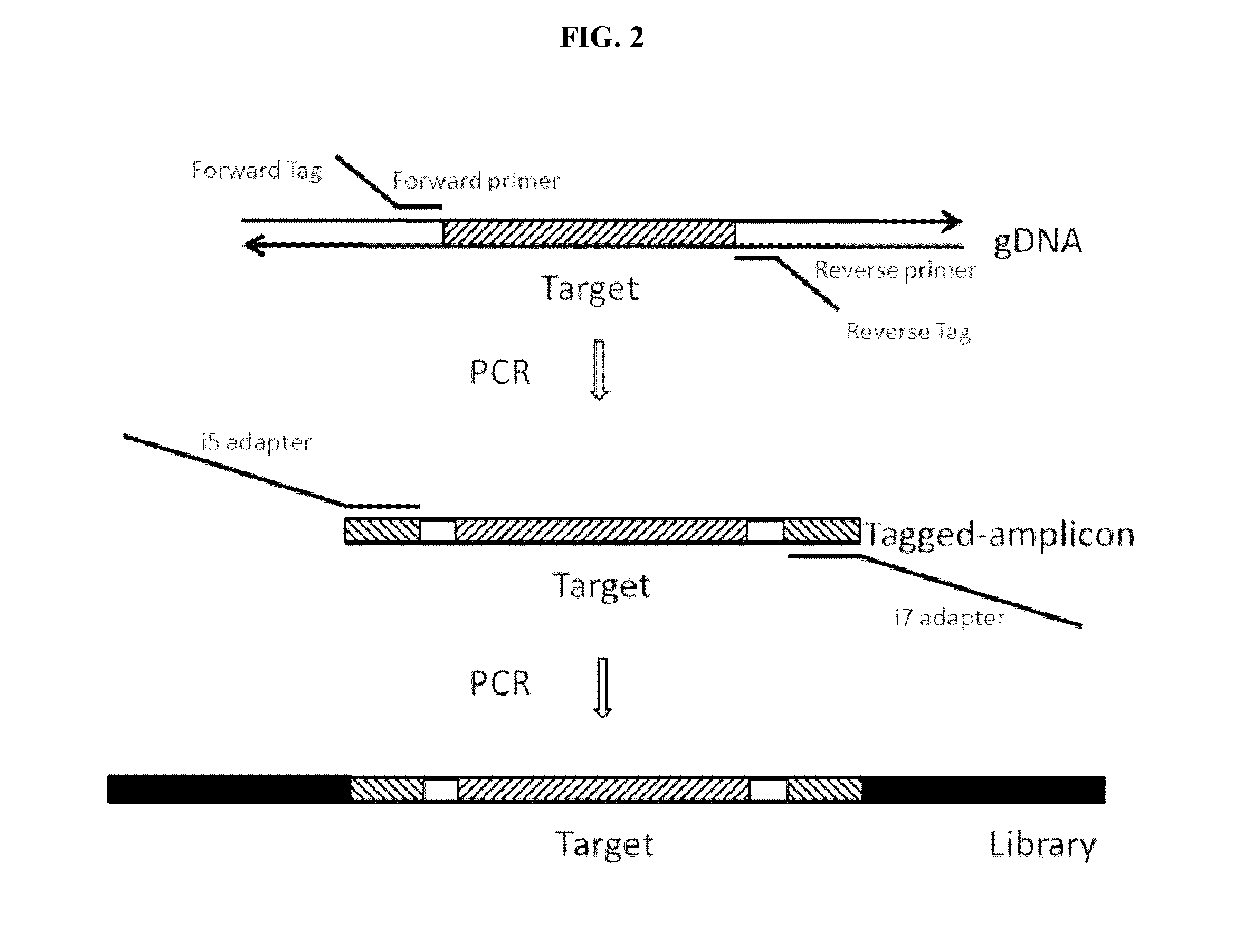 Methods and compositions for DNA profiling