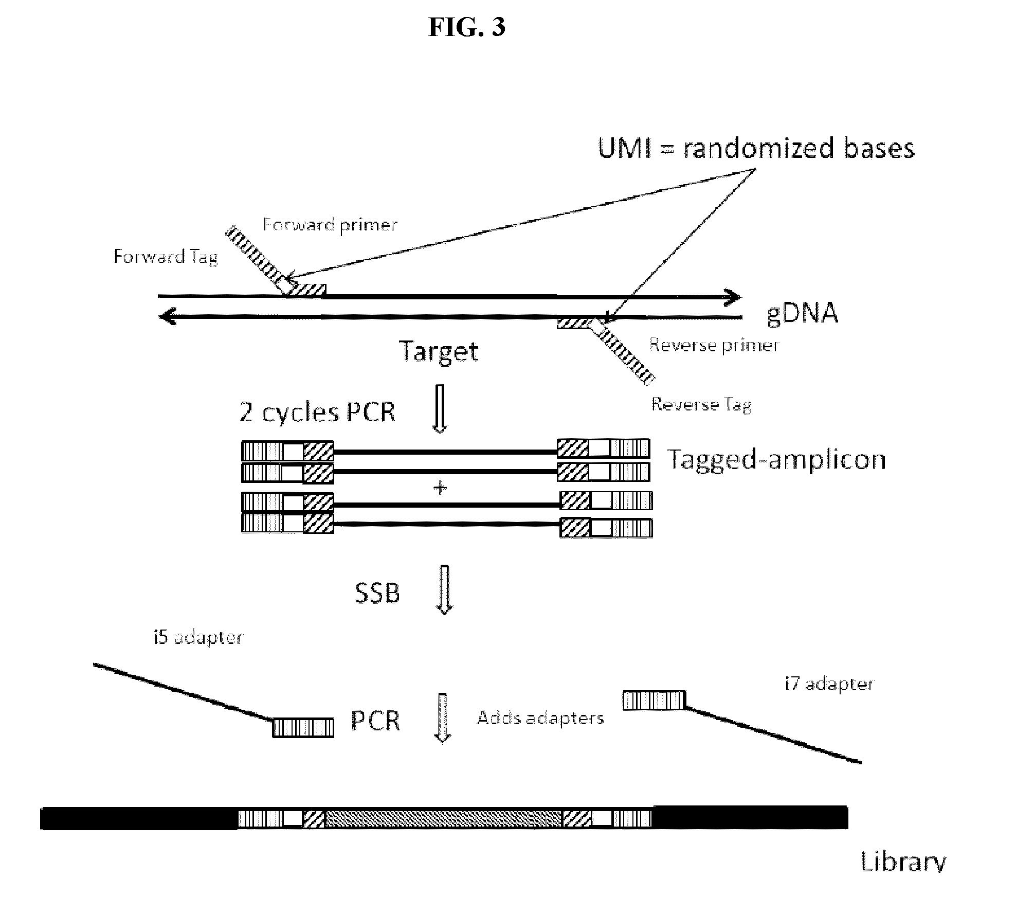 Methods and compositions for DNA profiling