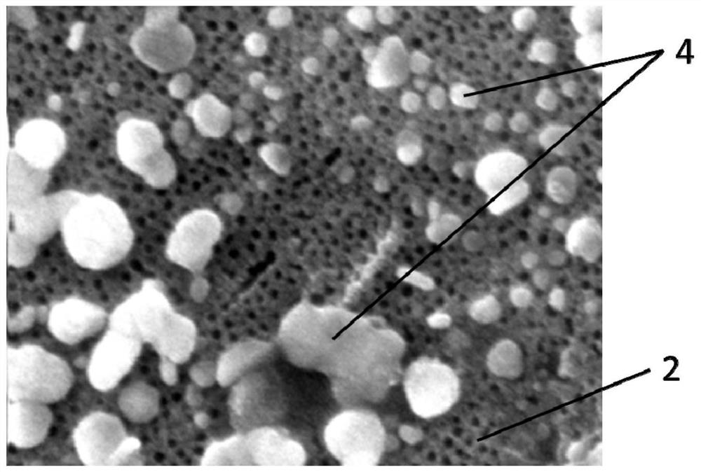 Antibacterial and antiviral aluminum alloy and preparation method thereof