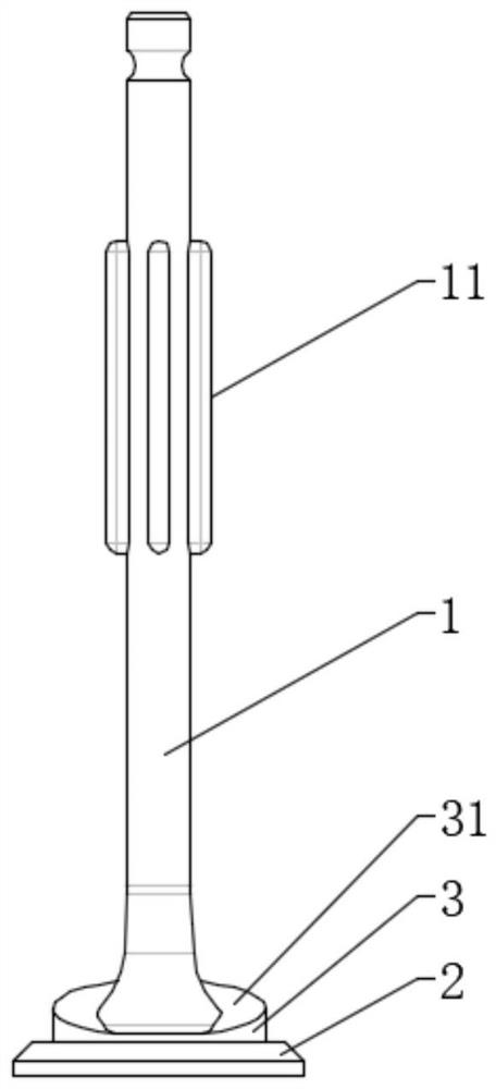 Intake valve structure and engine