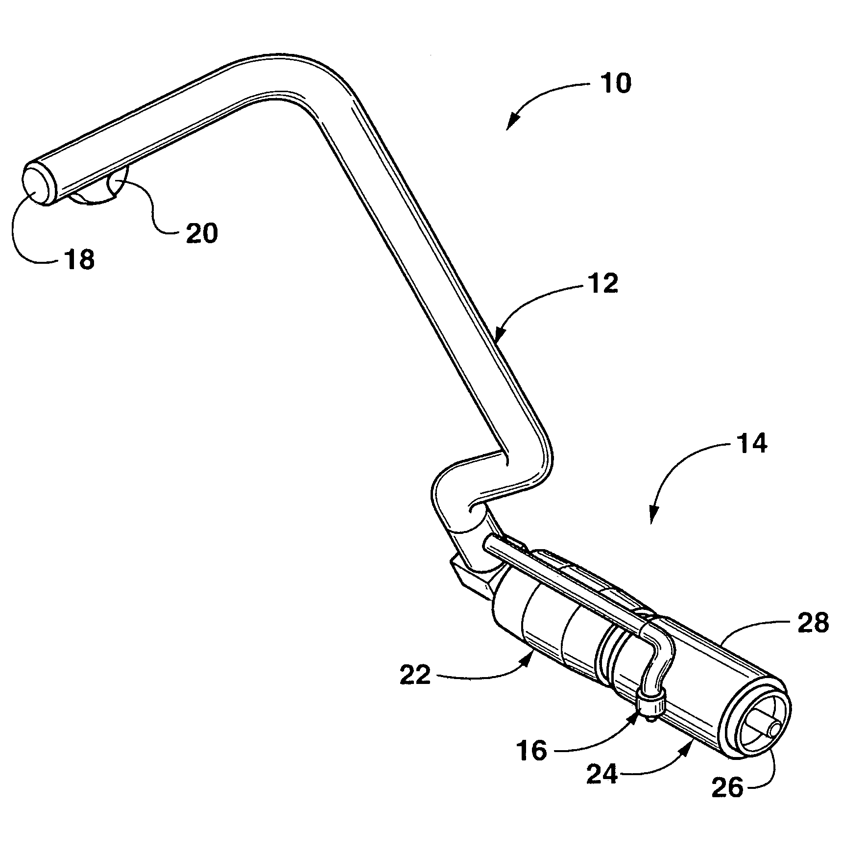 Carpet stain removal device