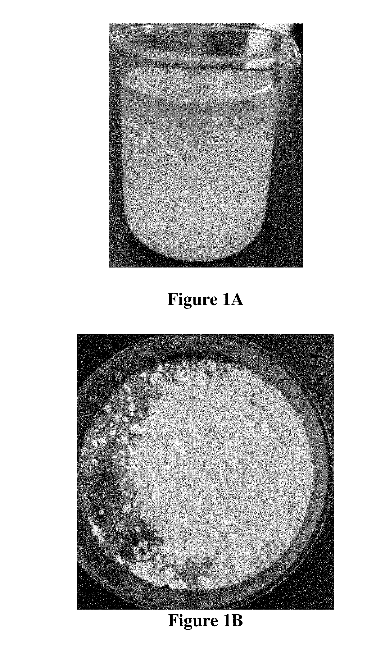 Polymyxin b sulfate crystal and preparation method thereof