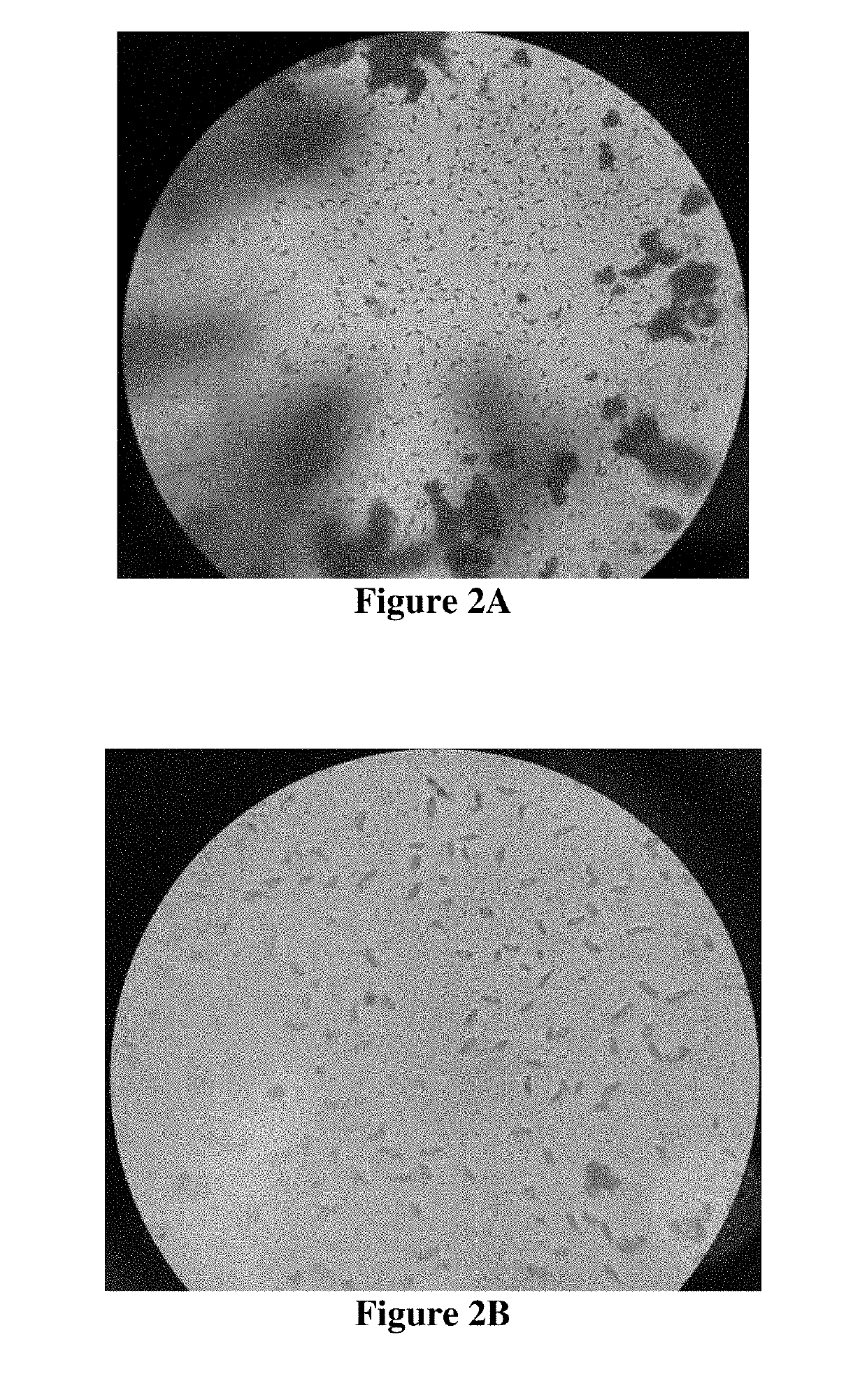 Polymyxin b sulfate crystal and preparation method thereof