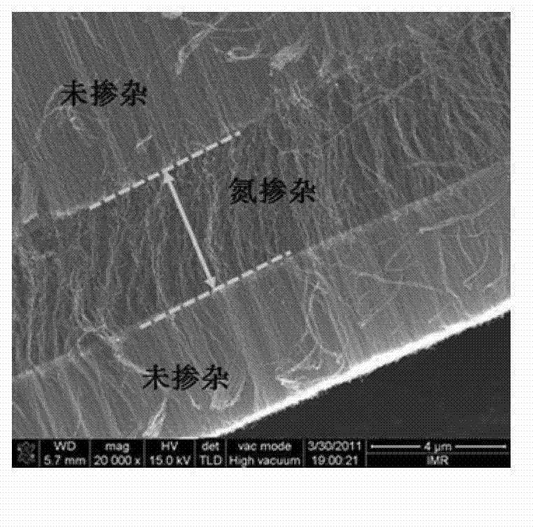 Preparation method of carbon nano-tube vertical array structure with heterojunction
