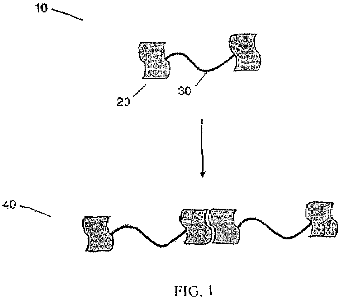 Compositions including polymers aligned via interchain interactions