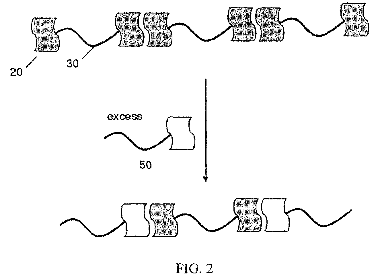 Compositions including polymers aligned via interchain interactions