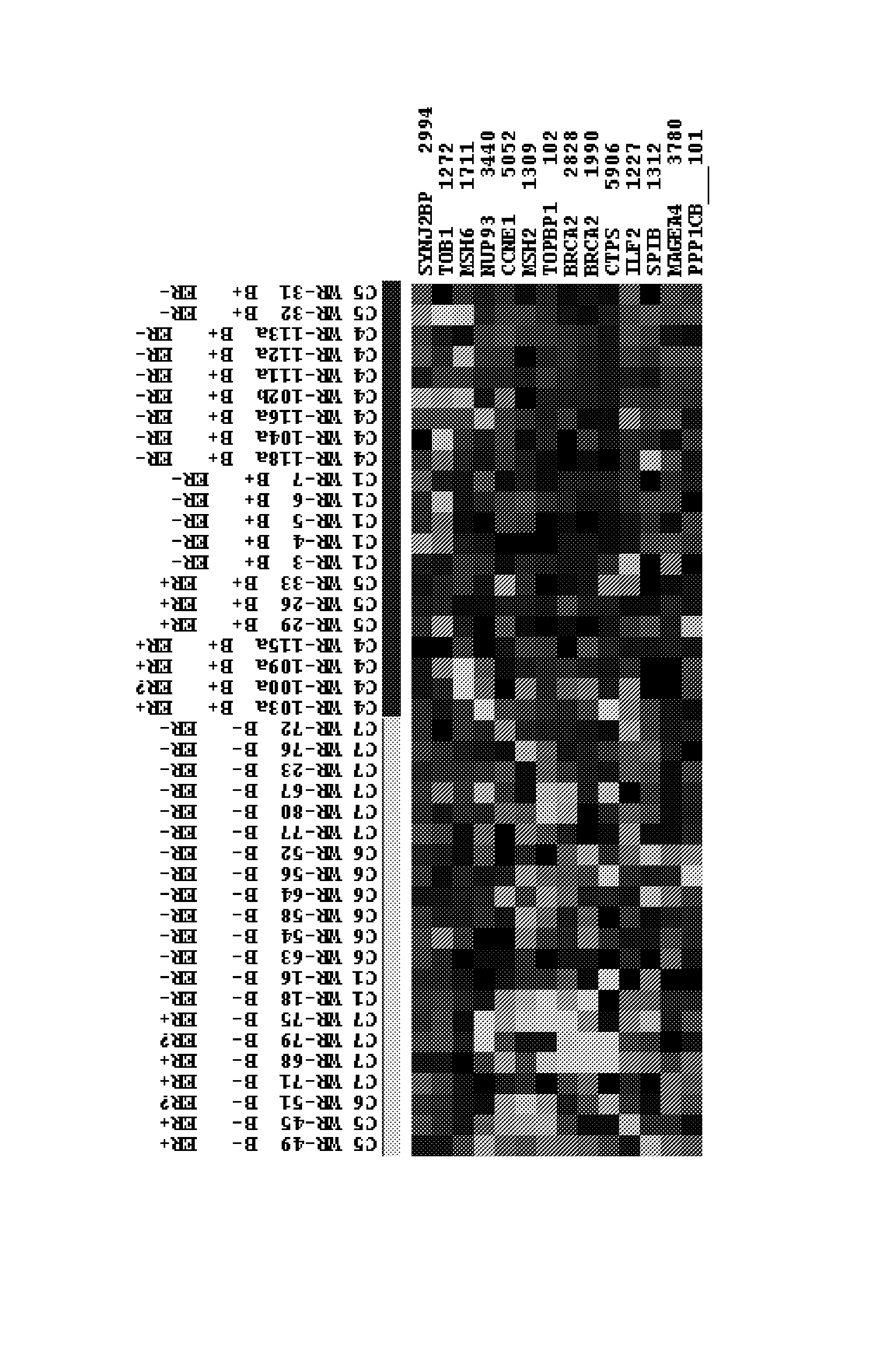 Breast cancer profiles and methods of use thereof