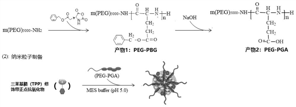 Charge-driven self-assembled antioxidant nanoparticles and their applications as fresh-keeping agents for fruits and vegetables and litchi