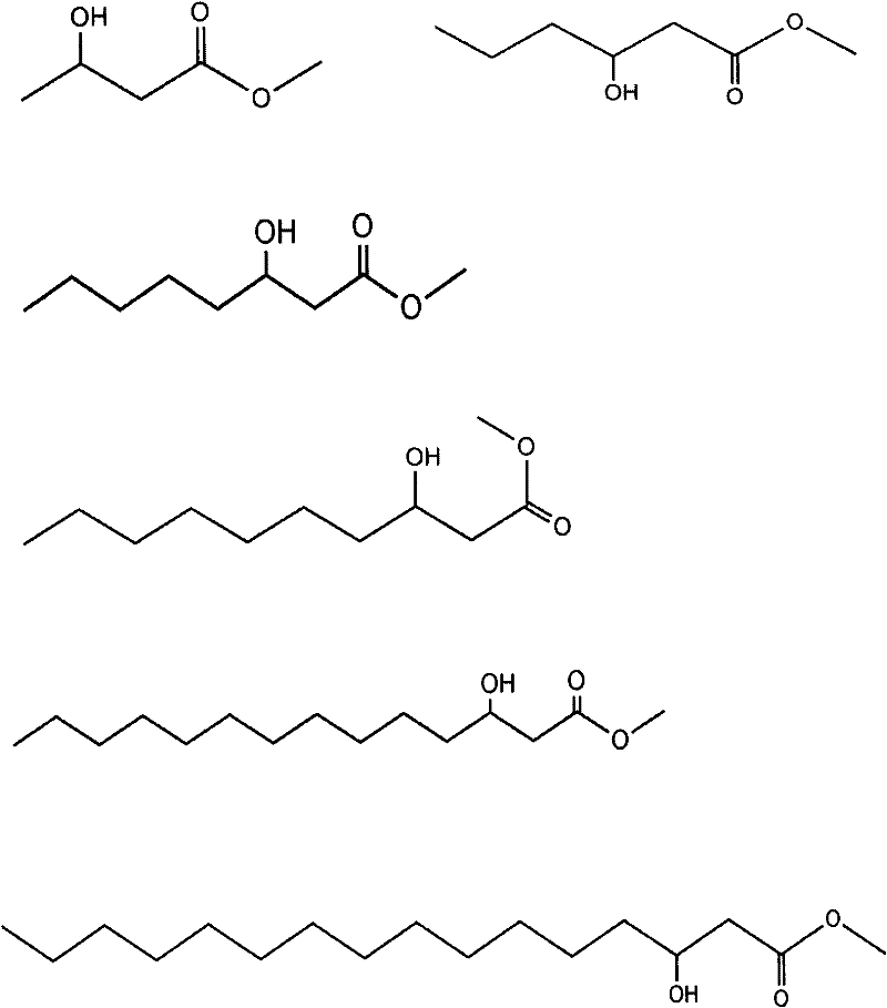 Polyhydroxyalkanoate synthesis bacterium and its fermentation culturing method