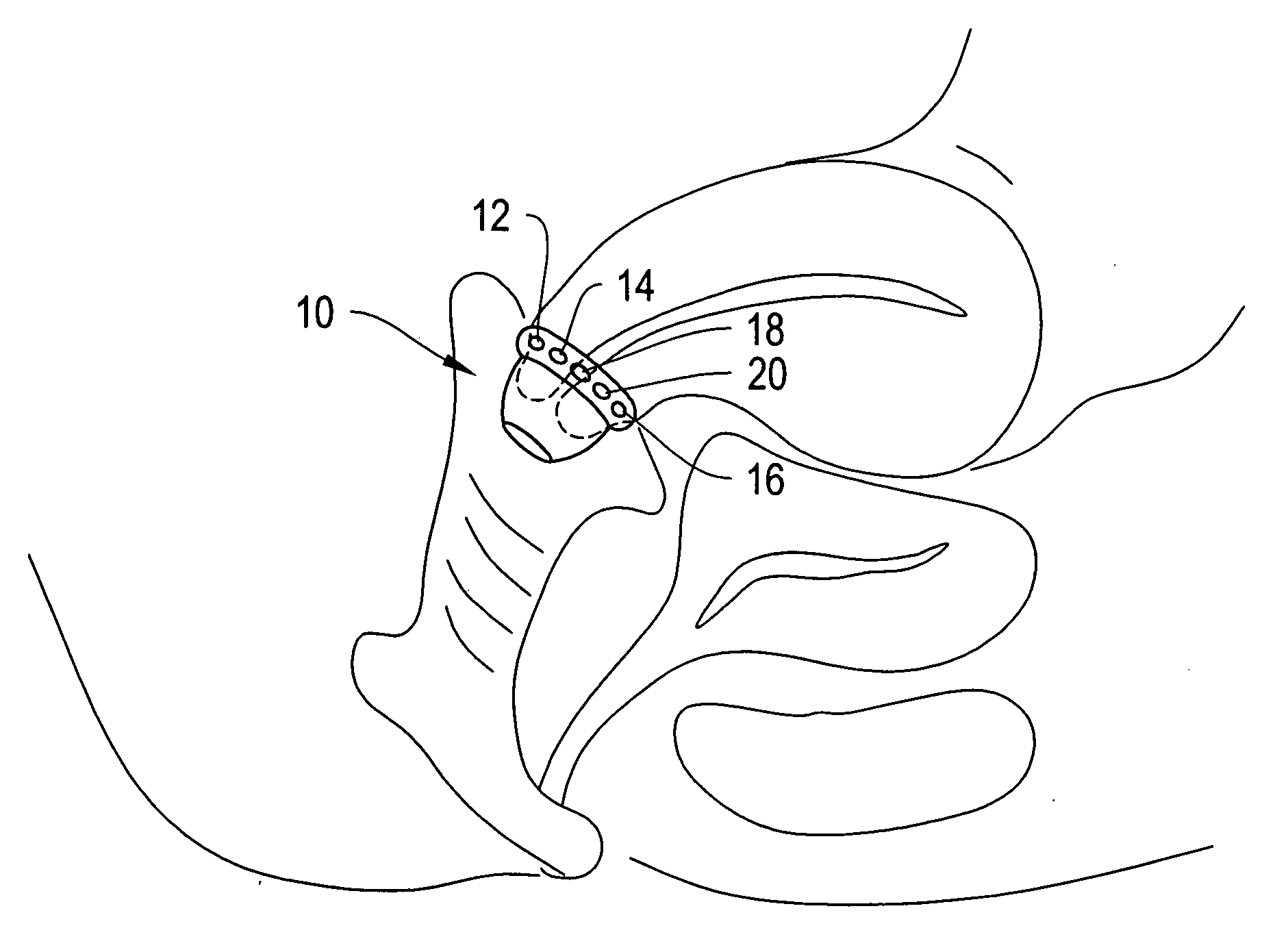 Systems and methods for a pregnancy monitoring device