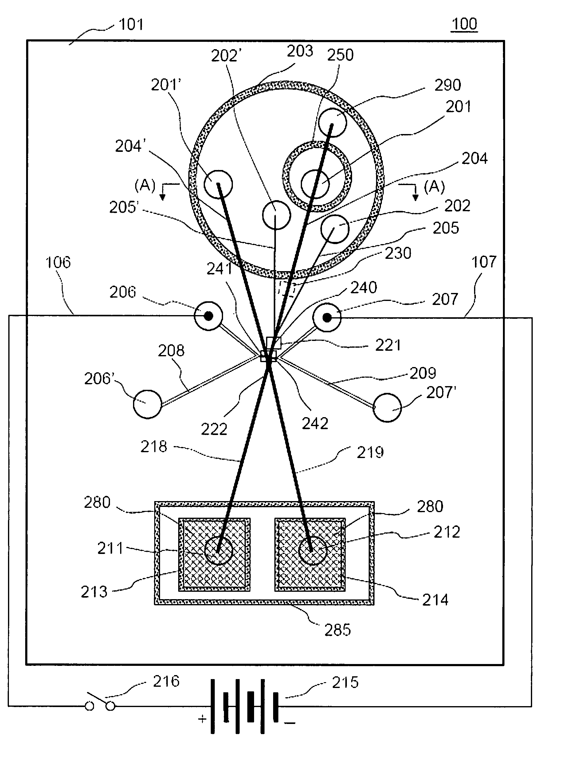 Cell separation chip and cell culturing method using the same
