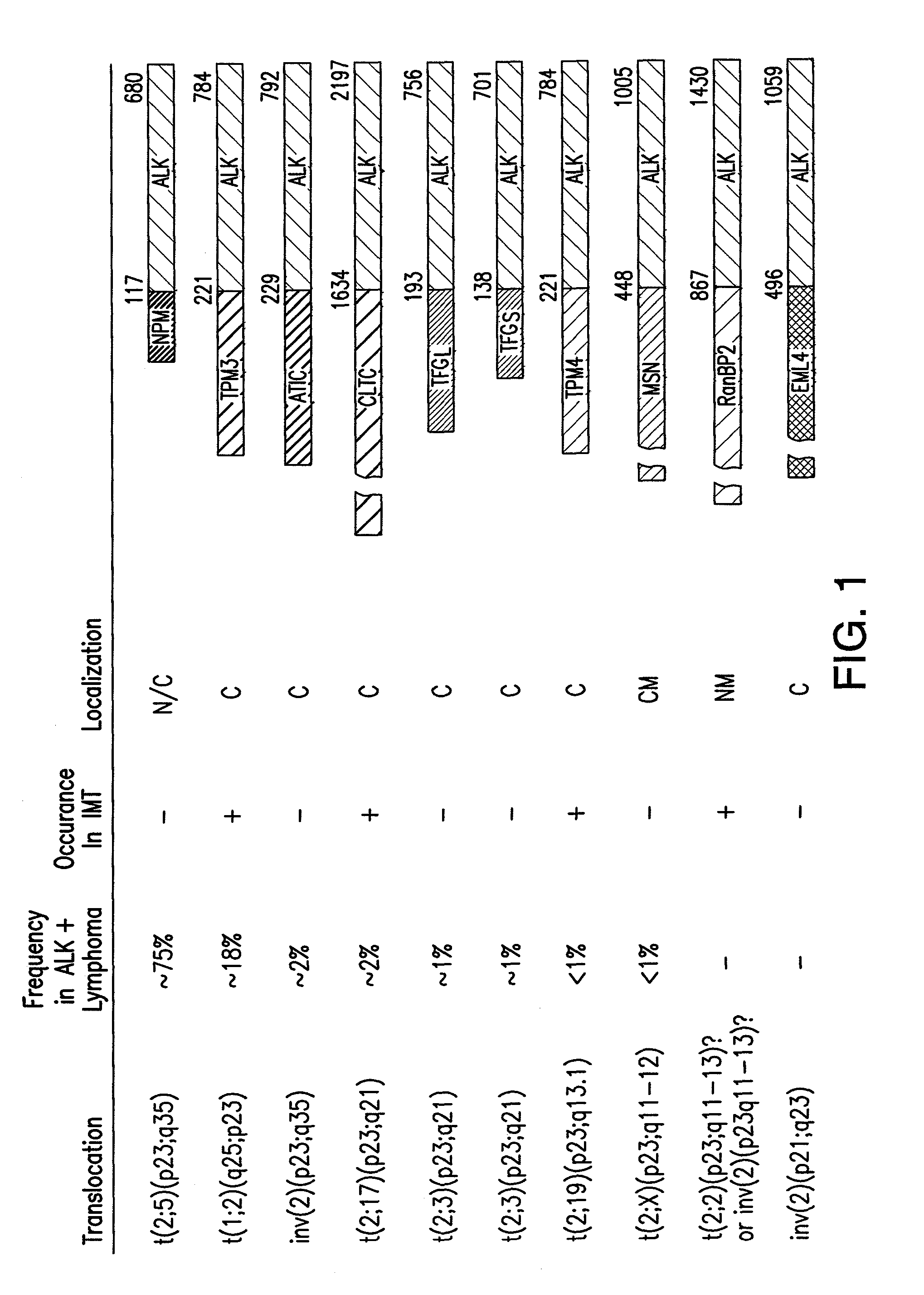 Methods and compositions relating to fusions of alk for diagnosing and treating cancer