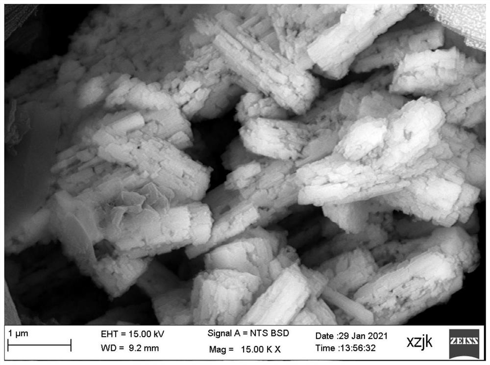 A method for enriching and extracting gallium from alumina seed separation mother liquor based on biomass materials