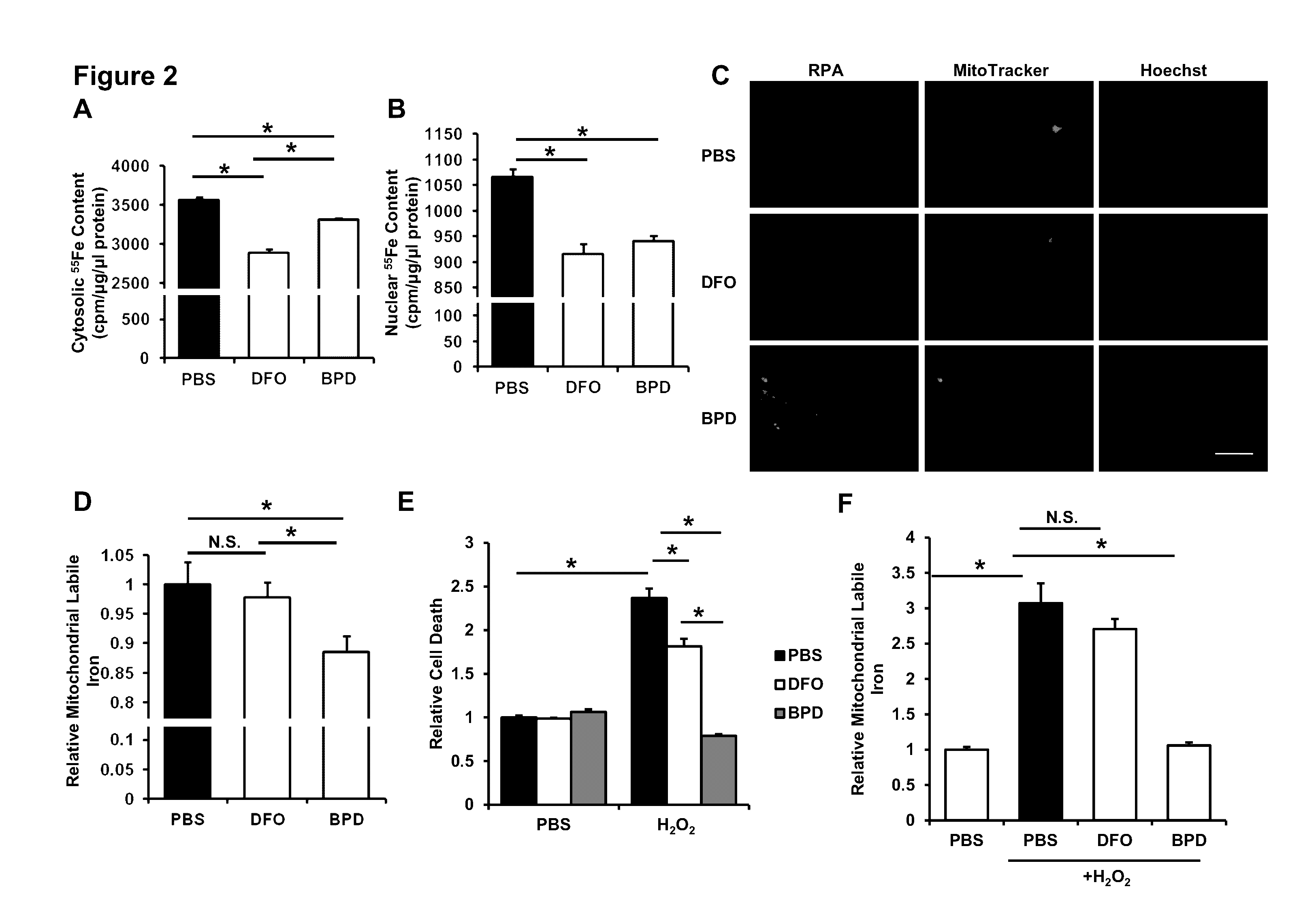 Iron chelators for treating and preventing cell death and organ damage following an ischemic event