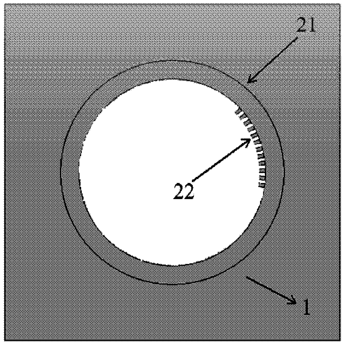 A Directional Output Ring Microcavity Laser