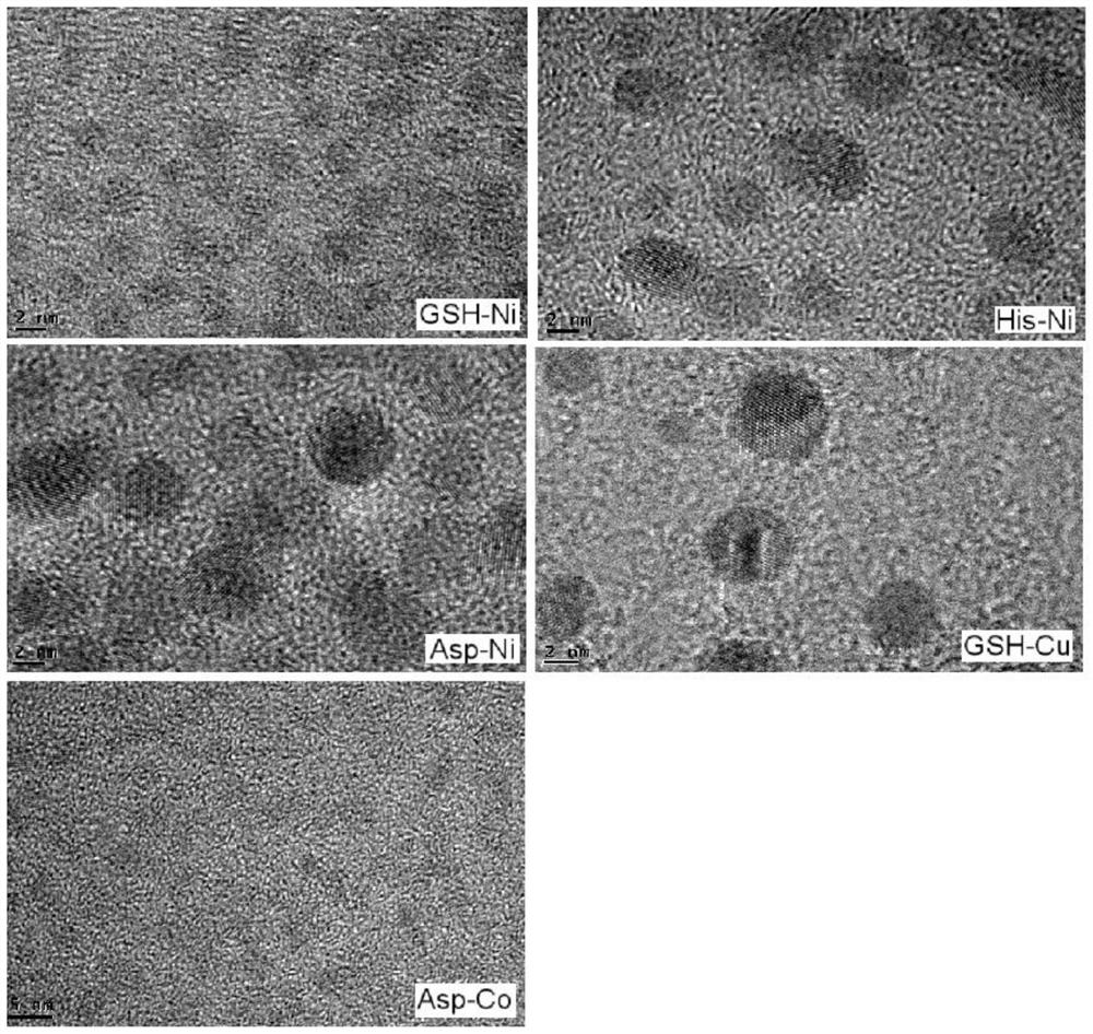 Application of chiral nano bionic photosensitive protein in preparation of medicine for promoting regeneration of damaged neuron axons