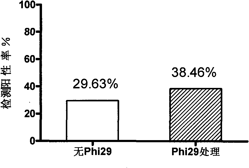 Method for detecting HPV and application of Phi29DNA polymerase in detecting HPV