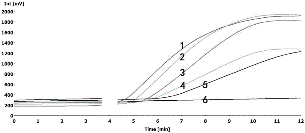 Schistosoma japonicum nucleic acid detection kit based on RPA and detection method