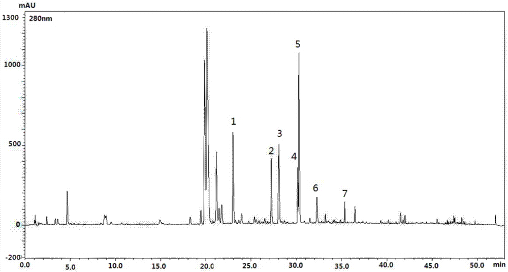 Gnaphalium affine extract and preparation method and application thereof